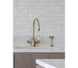 Phoenician Polished Brass Tap with Spray