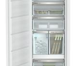 Liebherr B/I Freezer with Ice Maker